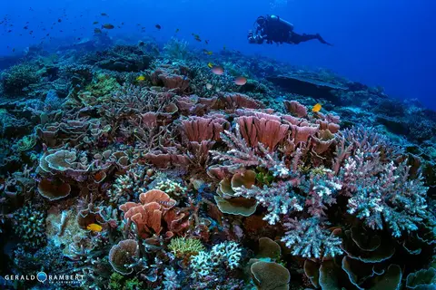 Foto del sitio de buceo. Three Sisters