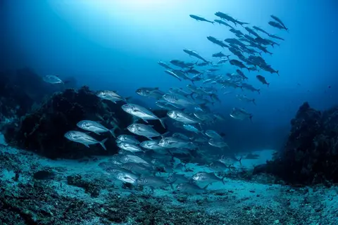 Foto del sito di immersione. Batu Bolong