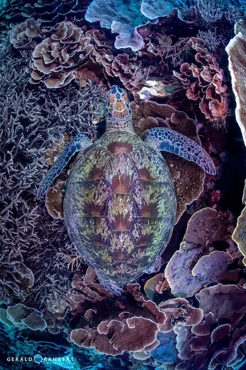 Foto del sitio de buceo. Cauldron